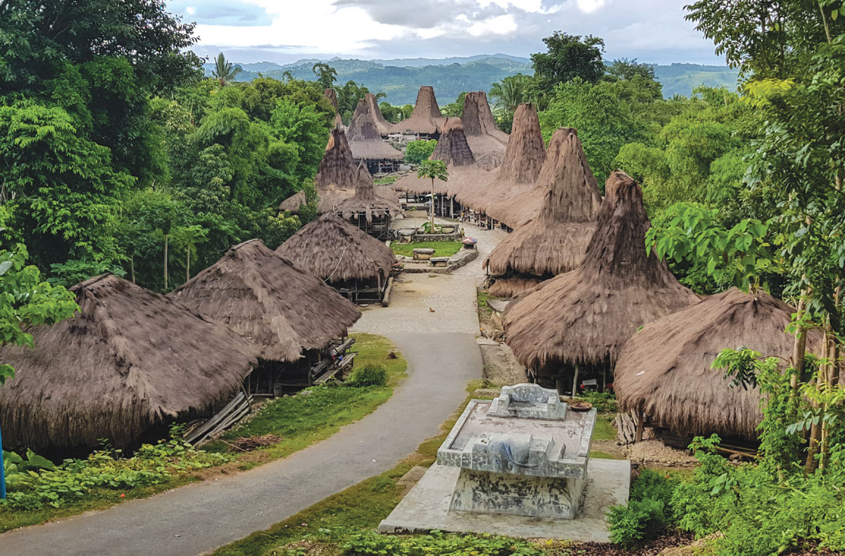 インドネシアイカット Indonesia IKAT | マライカ