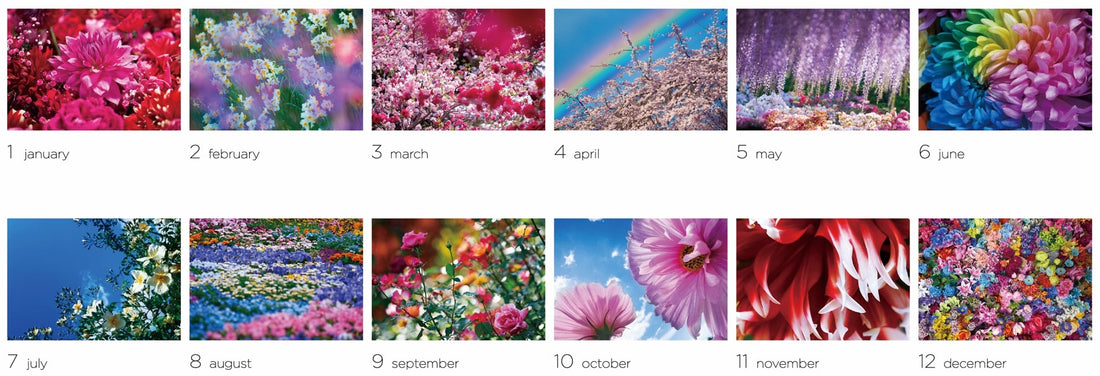 壁掛け】2026年カレンダー – MIKA NINAGAWA OFFICIAL STORE