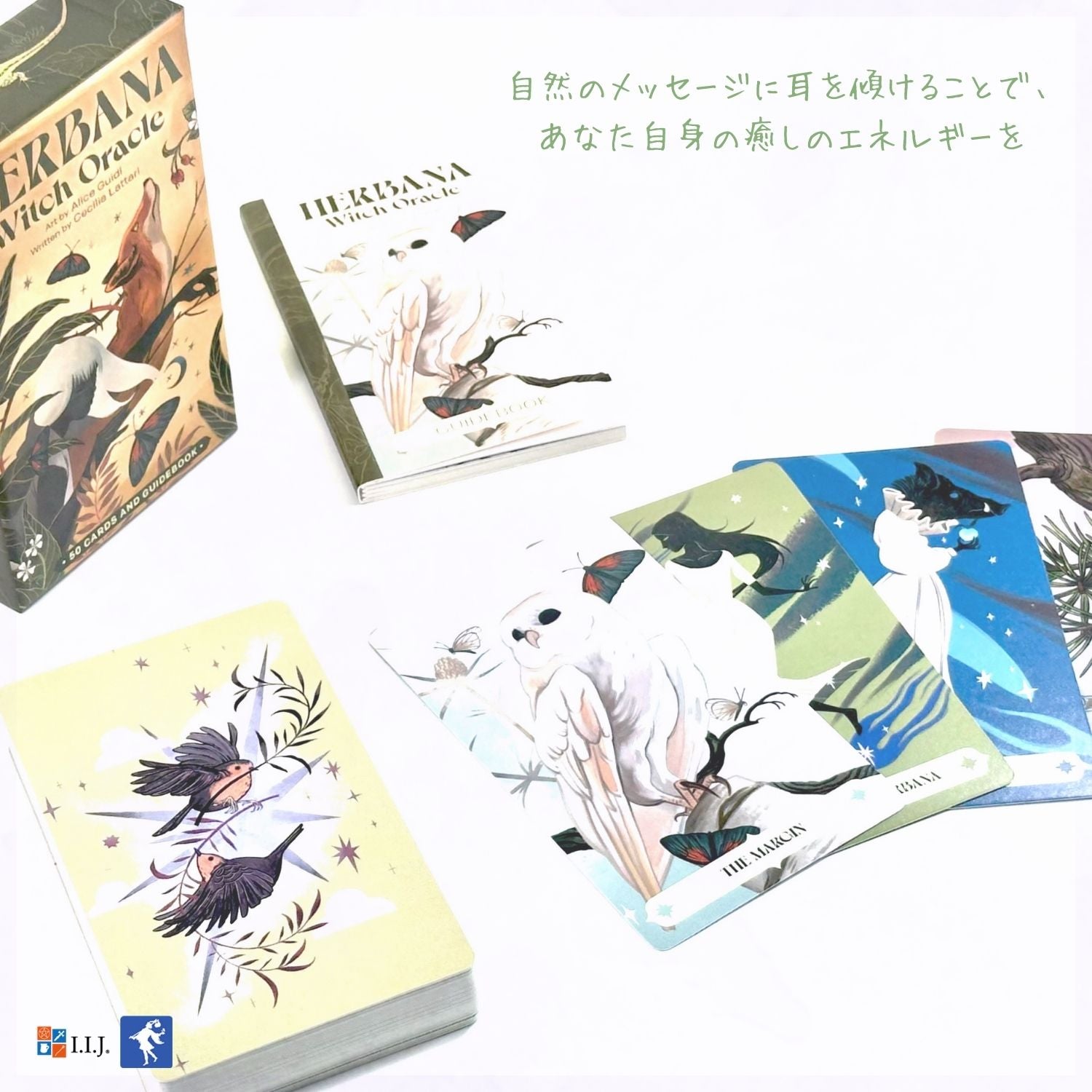 ハーバナ・ウィッチ・オラクルカード Herbana Witch Oracle – クロノス