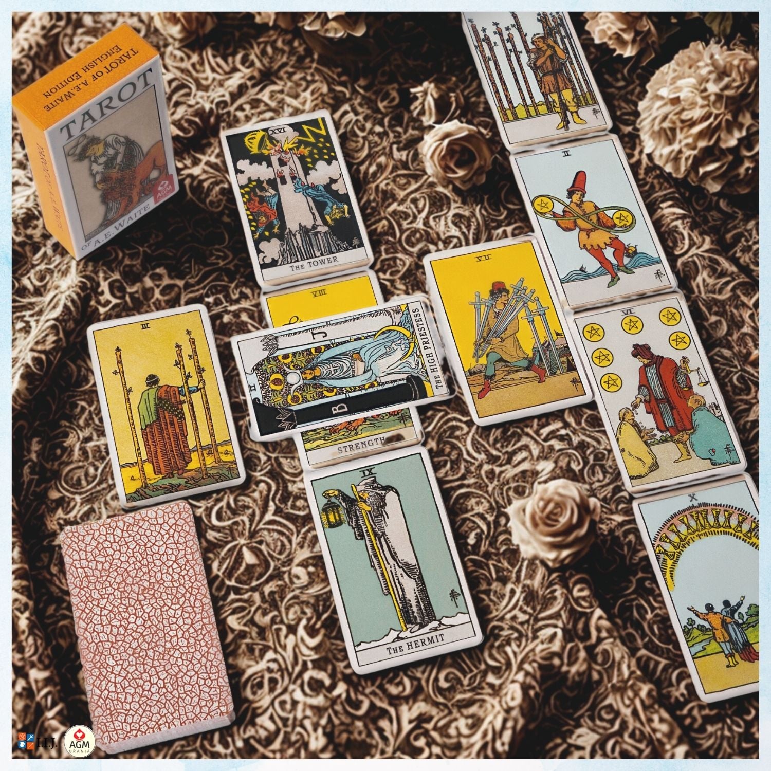 プレミアム ライダー スタンダード アーサー・エドワード版 Premium