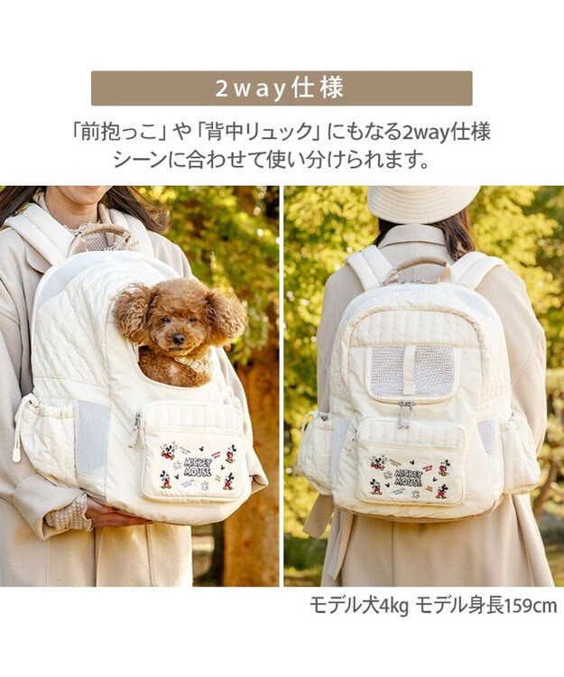 ディズニー ミッキーマウス 刺繍 リュック / PET PARADISE | 【通販