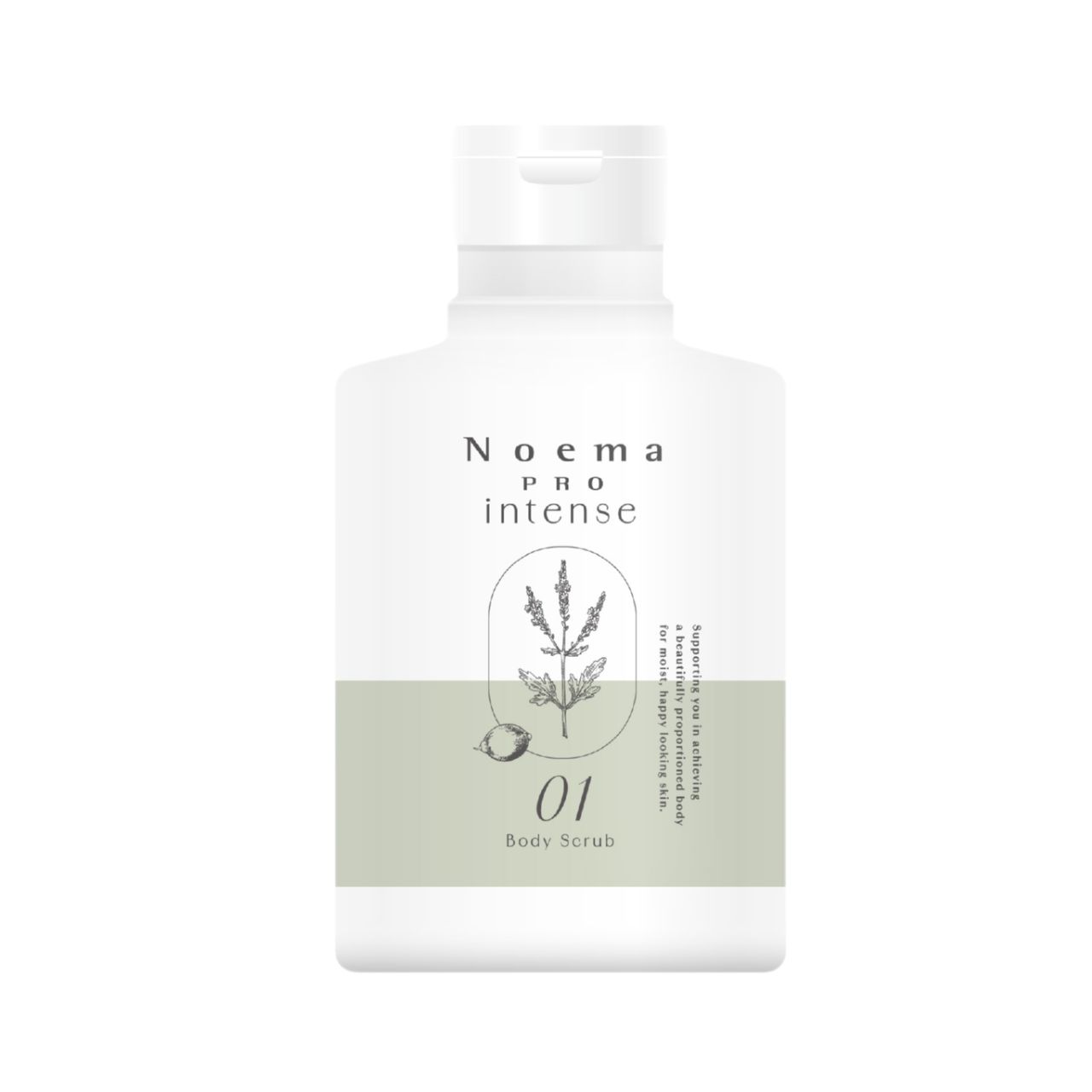 ダイアナ オンラインショップ / ノエマ プロ インテンス 6本セット