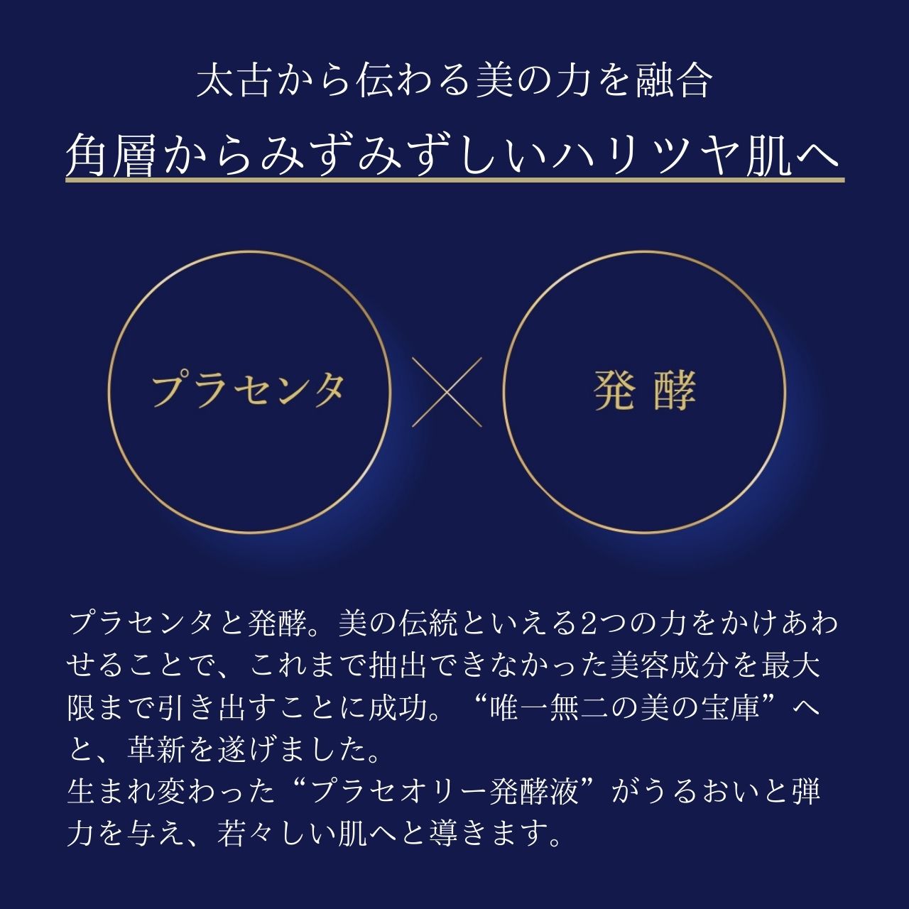 ダイアナ オンラインショップ / プラセオリー オーラ