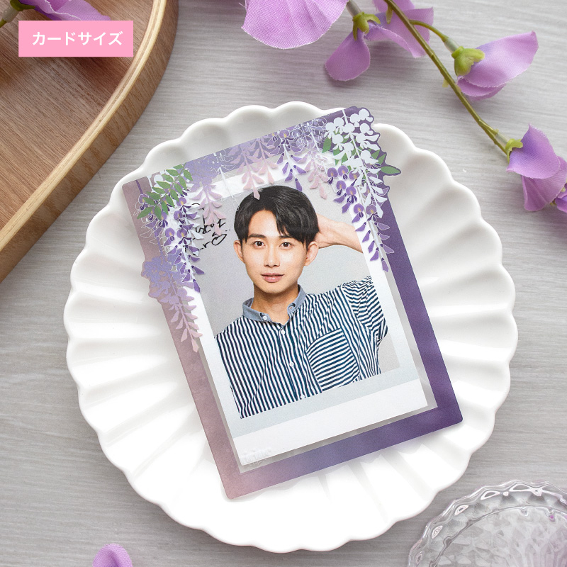 硬質ケース インスタントフォトサイズ 藤 晴| FUKUYA ONLINE フクヤ