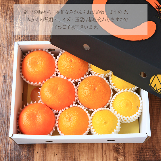 株式会社フレッシュつちやま / みかん 特撰ファミリーセット（黒