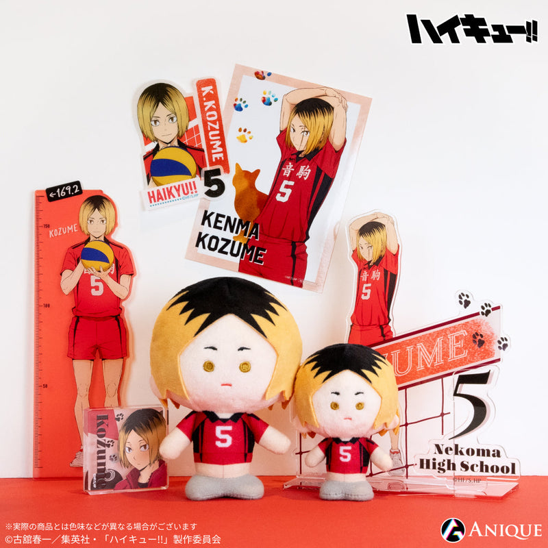 ハイキュー パズル アクリルジオラマ アートボード 新品 5点セット