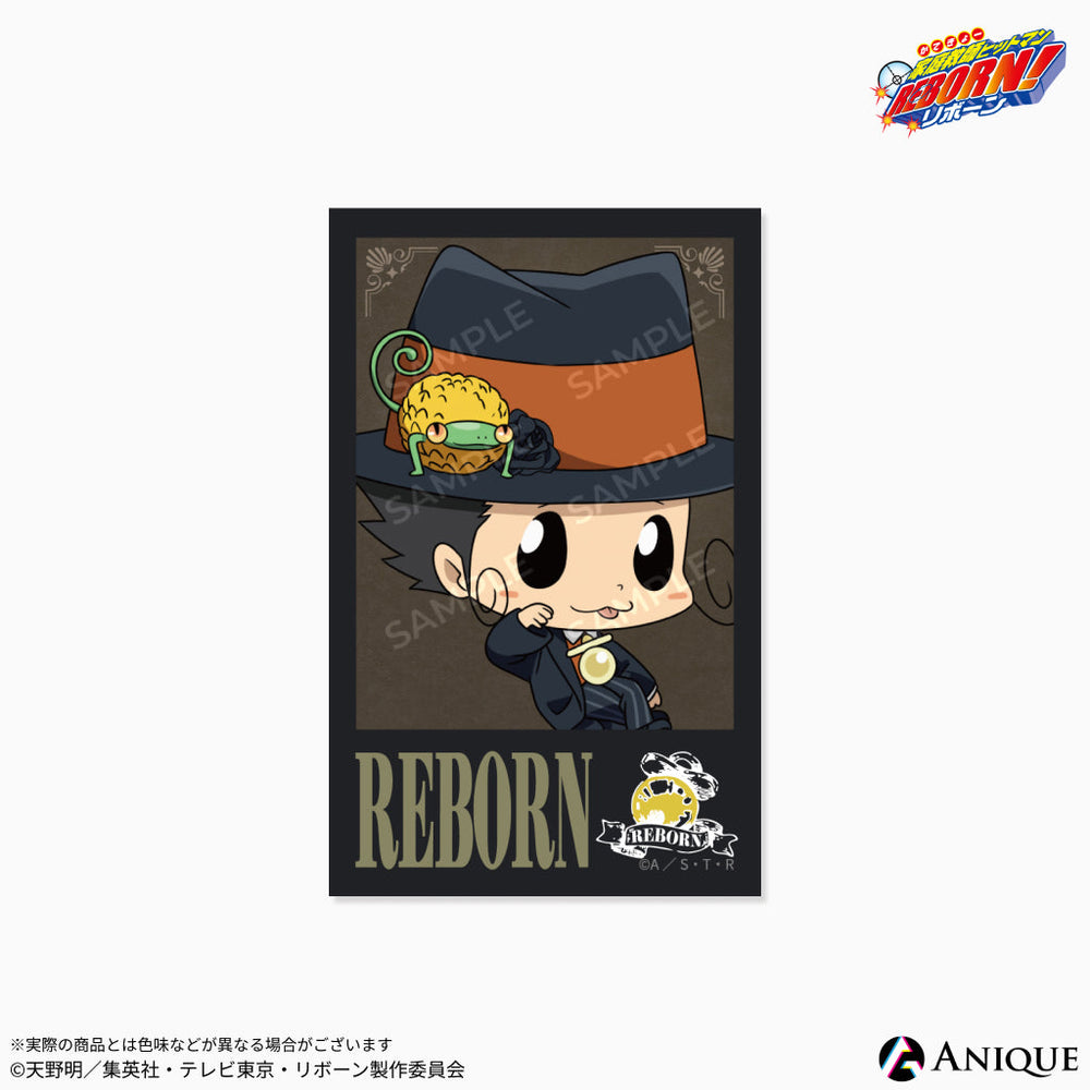 minibromide_1_1000x.jpg?v=