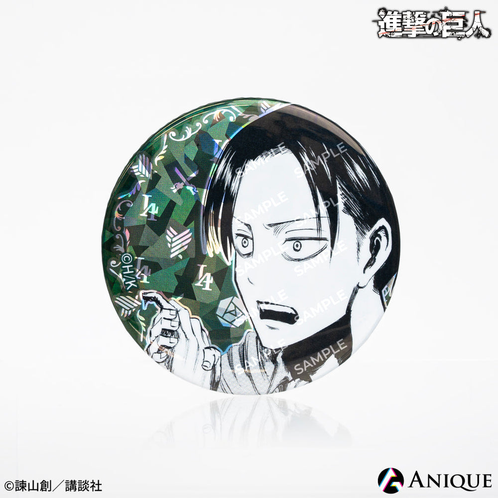 snkc_leviBD_canb_1_1000x.jpg?v