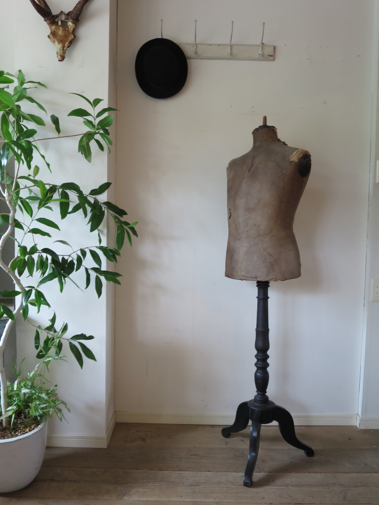 フランスアンティーク キッズトルソー stockman ストックマン ボーイズ