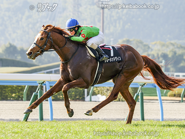 競馬ブックネットSHOP / カラーパネル