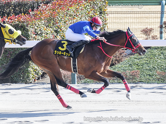 競馬ブックネットSHOP / カラープリント(アルミ枠付き)