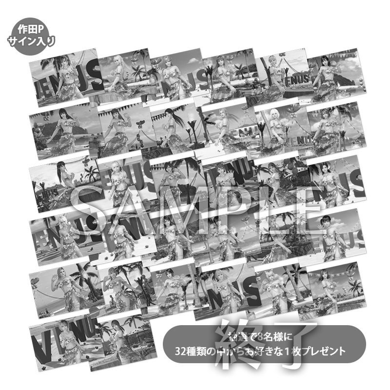 コーエーテクモゲームス / DEAD OR ALIVE Xtreme Venus Vacation 8