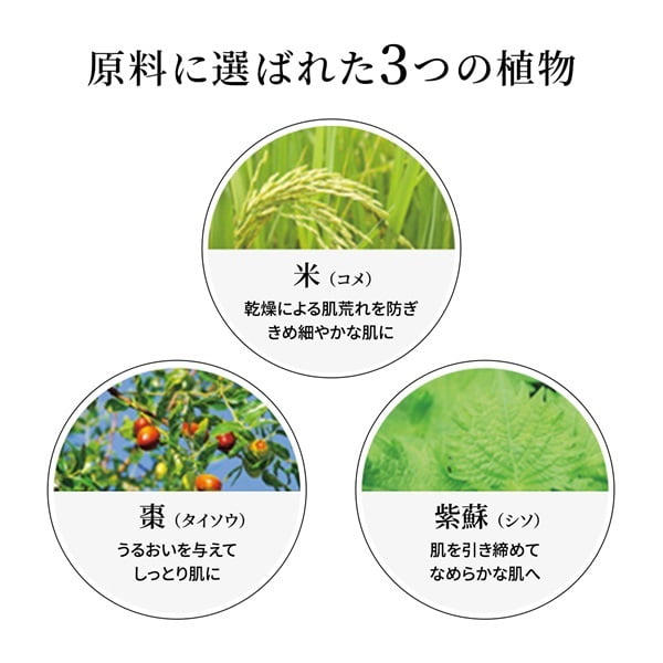オリエンタルプランツ 発酵ローション-60（300mL）｜素肌を主役に