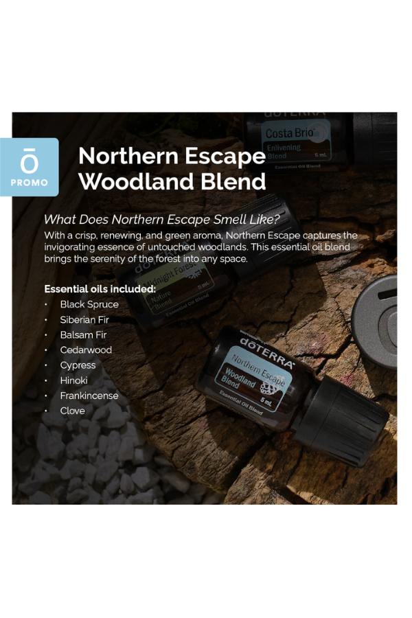 doTERRA Magnetic Car Clip Diffuser and Woodland Trio | doTERRA