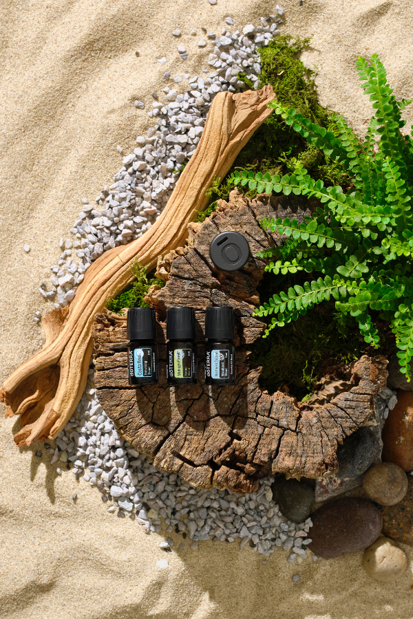 doTERRA Magnetic Car Clip Diffuser and Woodland Trio | doTERRA