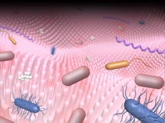 目で見る微生物学 [Vol.03] 応用微生物学 – 医学映像教育センター 公式