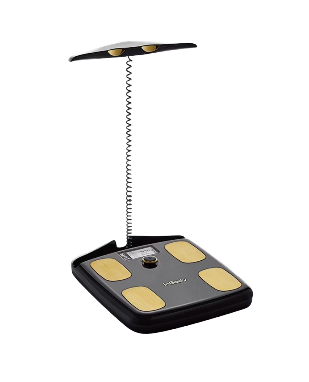 Dial H20 Smart Body Composition Scale | InBody USA