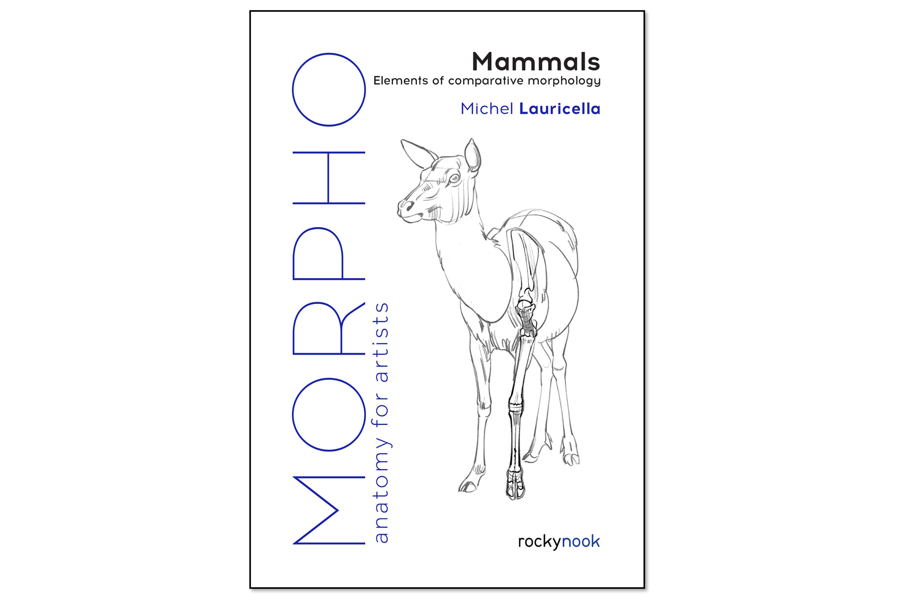 morpho-mammals-pow.jpg?v=