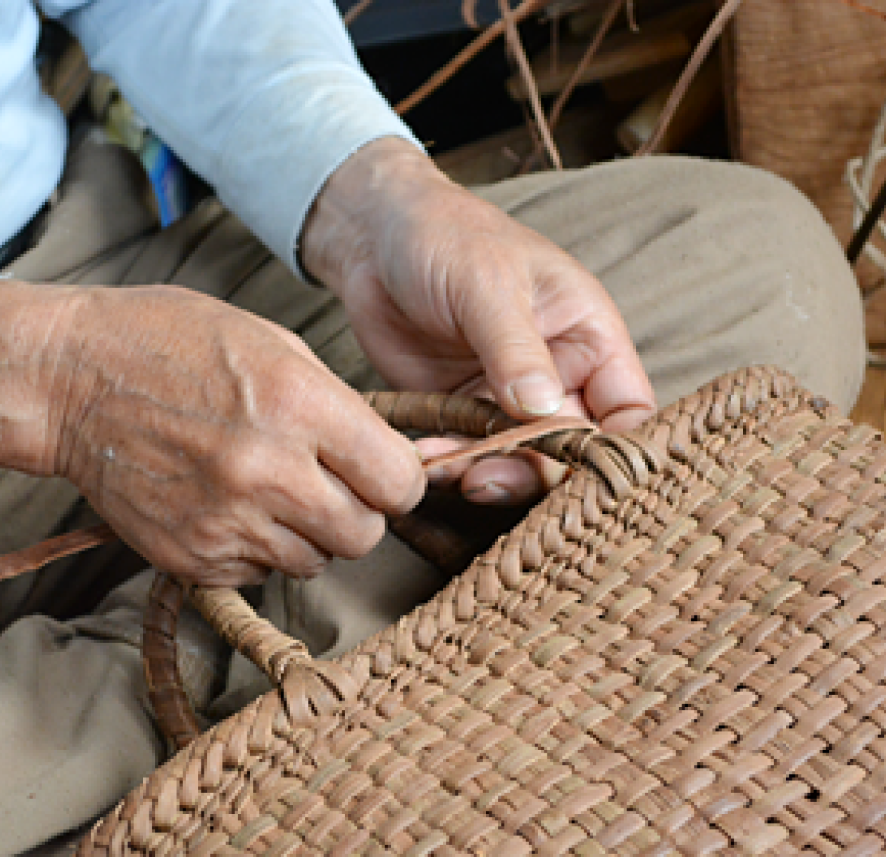 和雑貨 四季彩堂 オンラインショップ / 山ぶどう