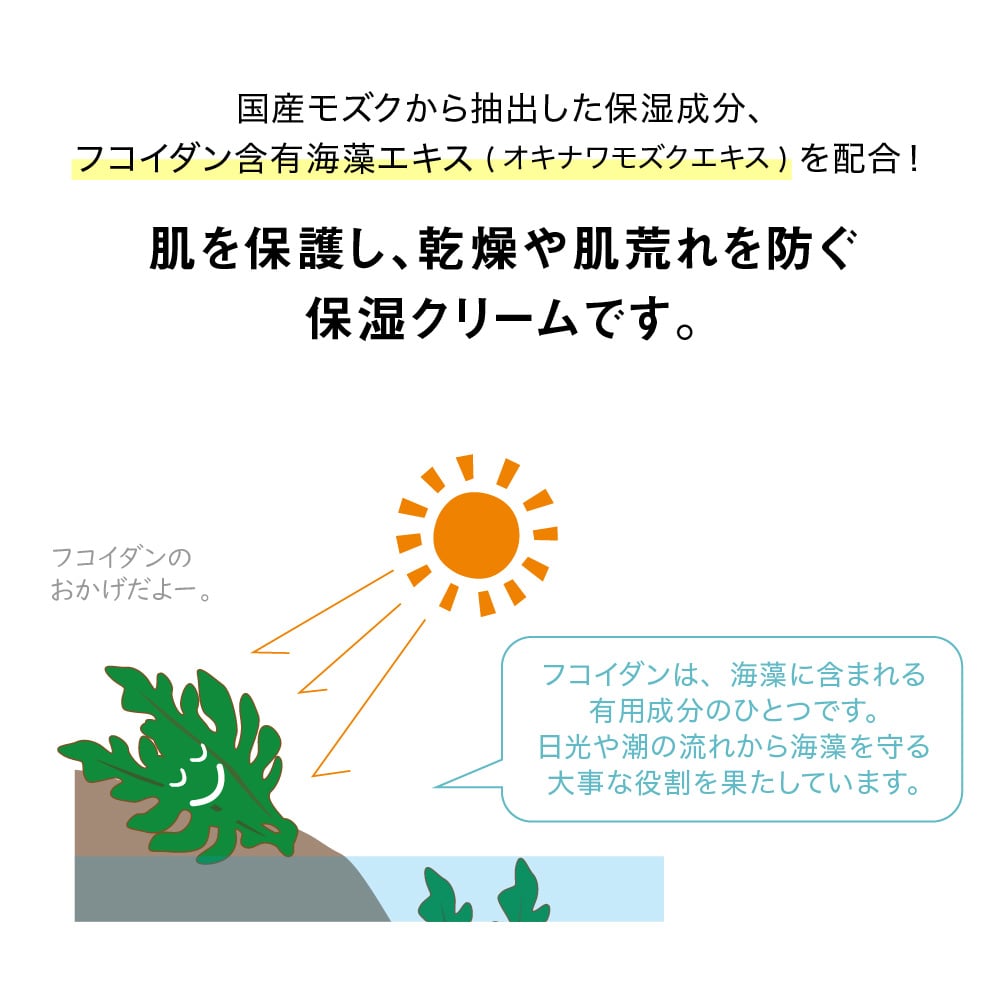 TBC Protect F クリーム_10g | 保湿クリーム【TBC公式オンラインショップ】