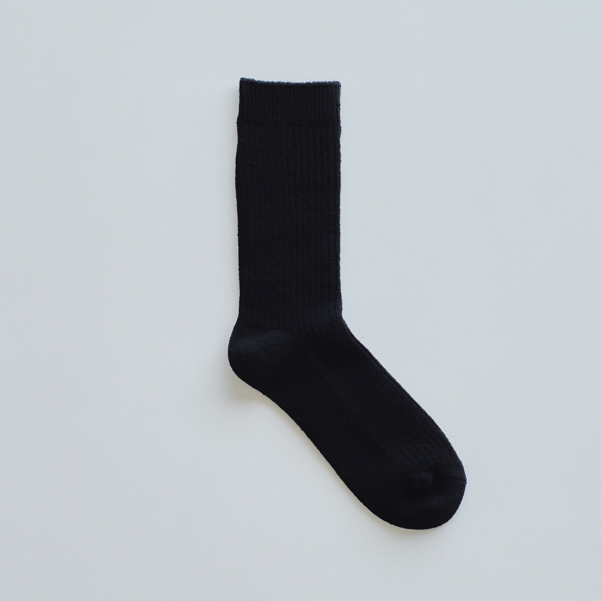 25AW _12/22 – TORICI