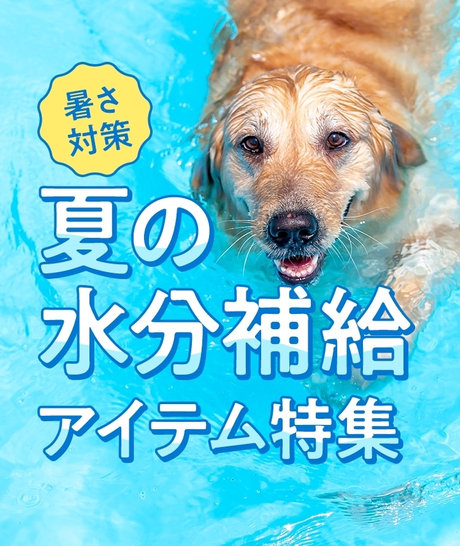 暑さ対策 夏の水分補給アイテム特集｜｜ペット総合通販サイト ペテモ