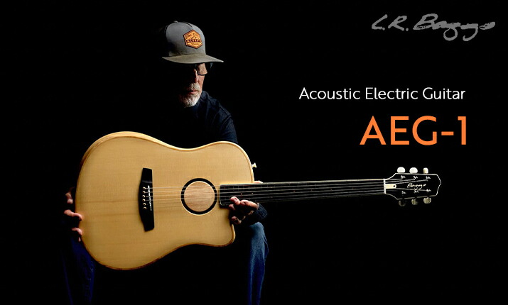 楽天市場】【送料無料】Takamine タカミネ PTU731KC N