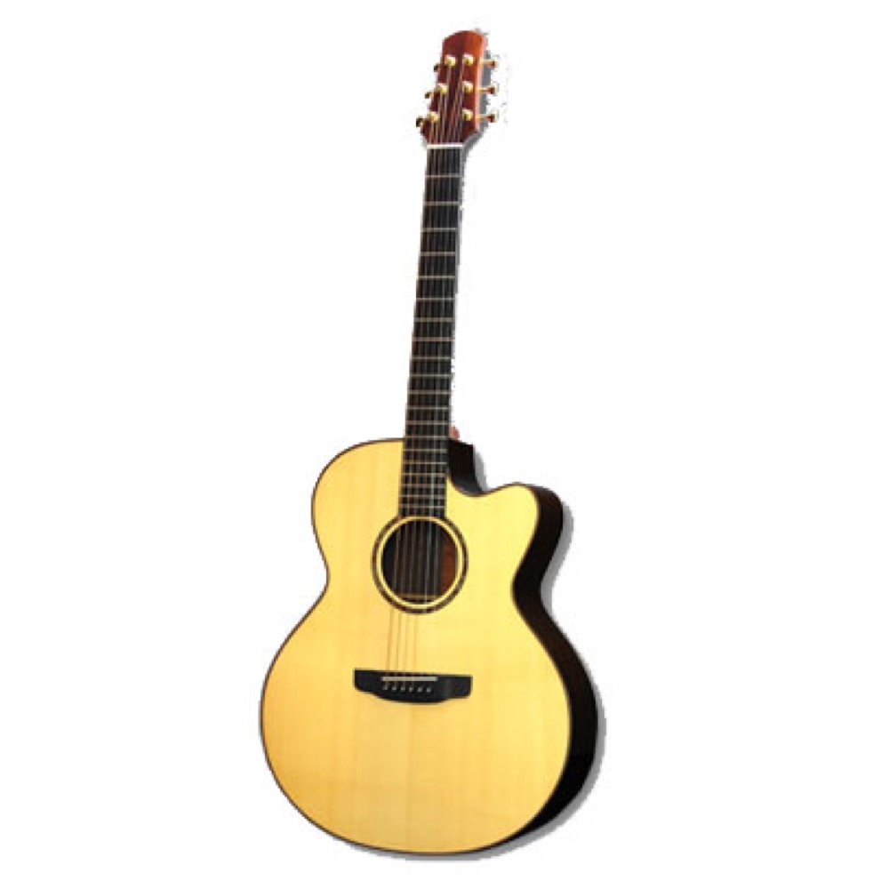 楽天市場】ASTURIAS SOLO PREMIUM アコースティックギター セミハード