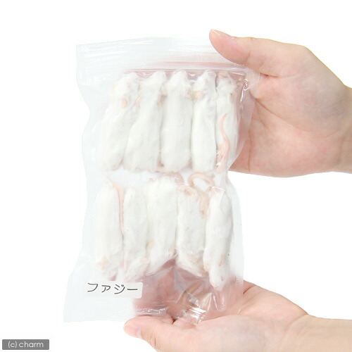 楽天市場】冷凍☆アダルトL カタ養殖 Mice30 冷凍マウス（10