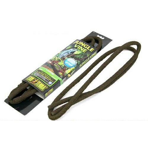 楽天市場】GEX エキゾテラ モンスーンソロ ミスティング カメレオン