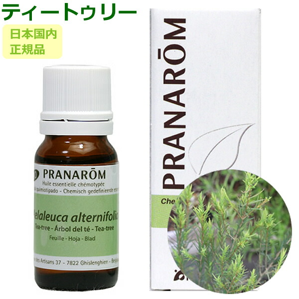 楽天市場】プラナロム セージ エッセンシャルオイル 送料無料 : アロマ