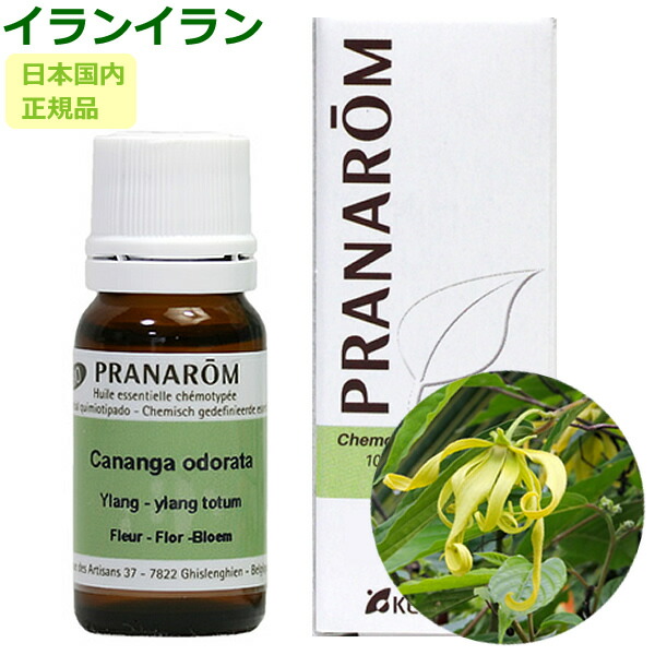 楽天市場】プラナロム ティートゥリー 10ml プラナロム アロマオイル