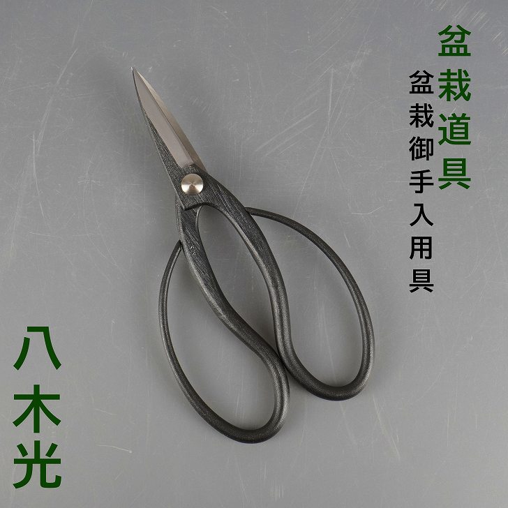 楽天市場】盆栽はさみ 剪定ばさみ 盆栽 道具 全長 約 20cm 八木光 足長