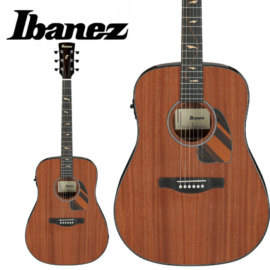楽天市場】Ibanez AEG10NII TNG 新品[アイバニーズ][エレガット