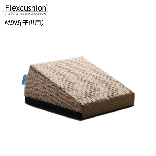 楽天市場】【15時迄の注文で即日出荷／日時指定必須】SANTEPLUS サンテ