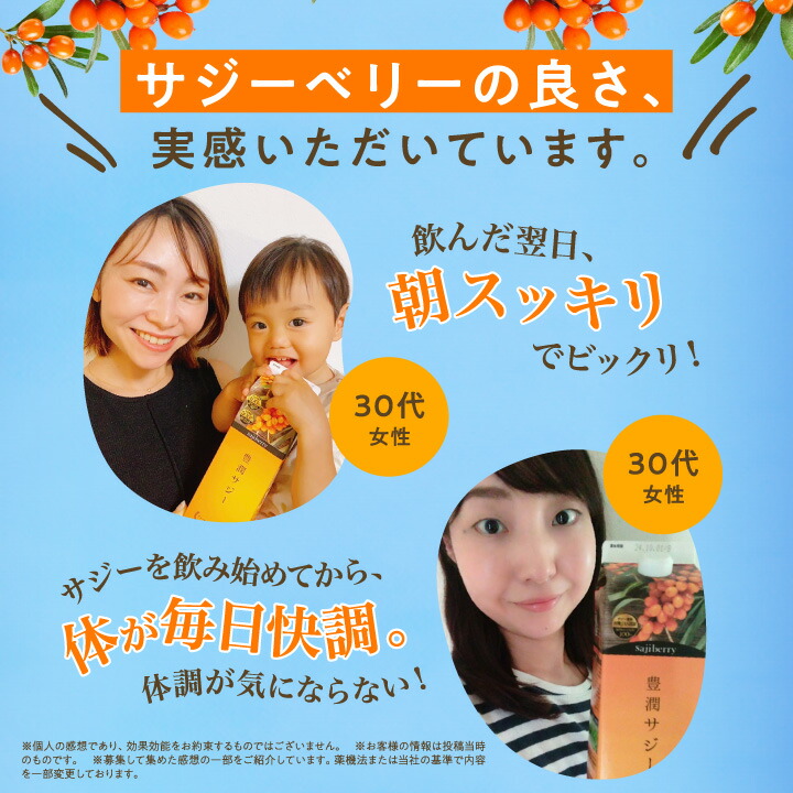 豊潤サジー 1000ml サジージュース【紙パックタイプ】 公式 フィネス