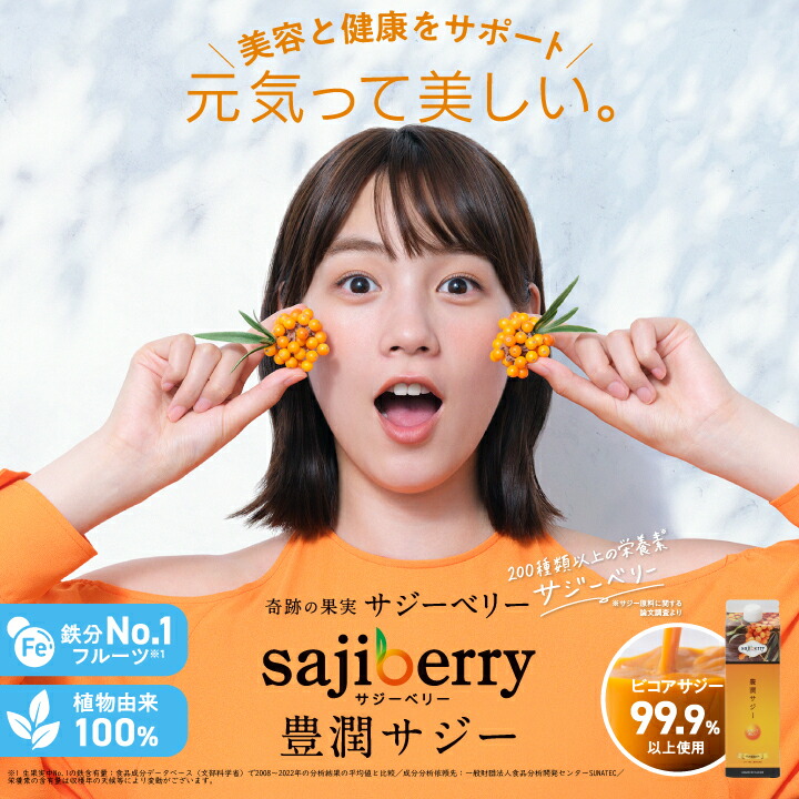 豊潤サジー 1000ml サジージュース【紙パックタイプ】 公式 フィネス