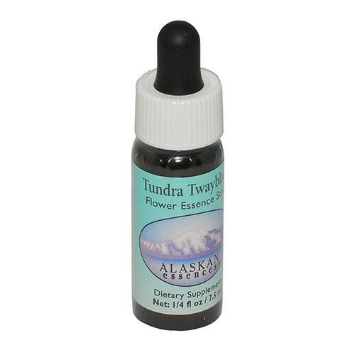 楽天市場】クリエイティング ヘルシー バウンダリー #51《アンジェ