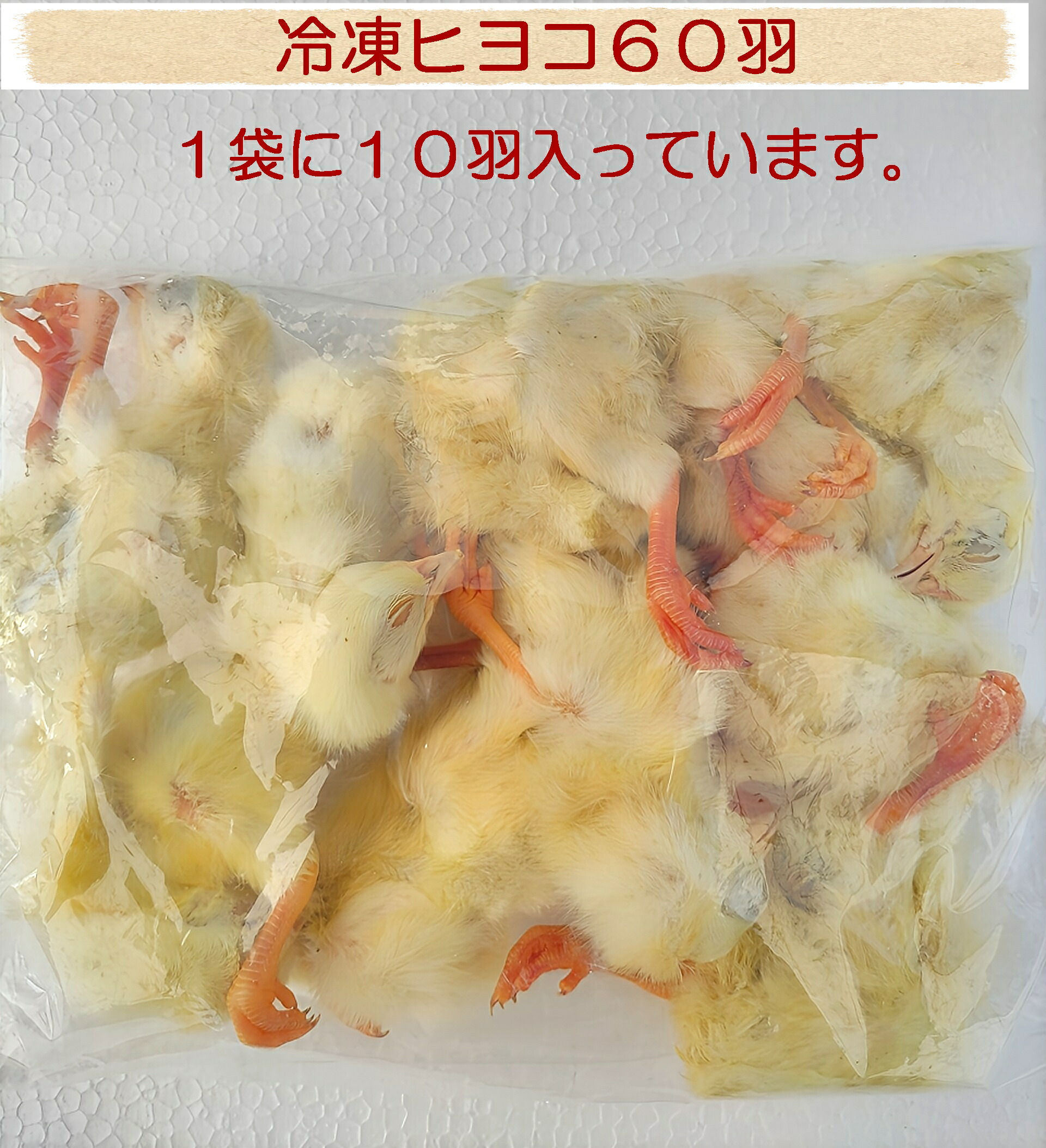 楽天市場】冷凍ヒヨコ12kg 約300羽分 フクロウ 鷹 ハヤブサ