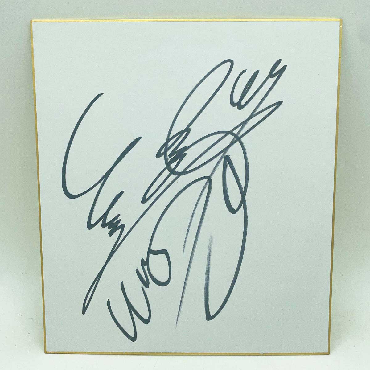 楽天市場】【中古】瀬野優 直筆サイン色紙 大阪プロレス : カウカウ