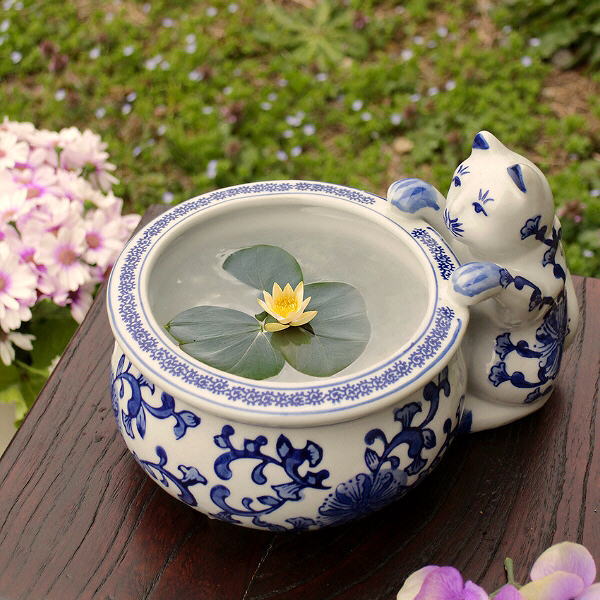 楽天市場】金魚鉢 おしゃれ 陶器 メダカ鉢 和風 レトロ アンティーク