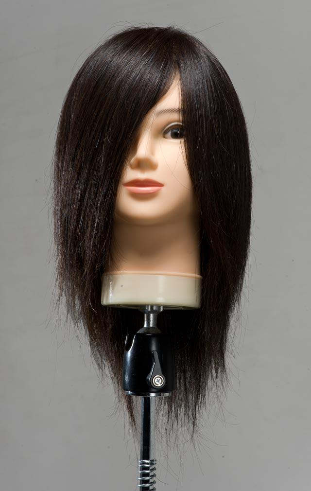 楽天市場】【送料無料】Emilly カットウィッグ (100％人毛)【6体セット