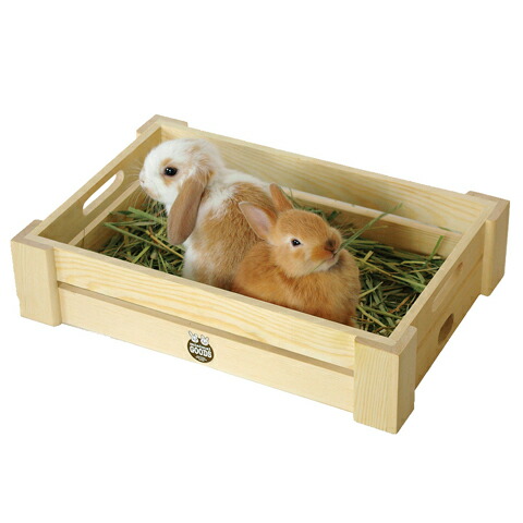 楽天市場】CASA セレクトケージ Rabbit 80【一度のご注文で1個まで