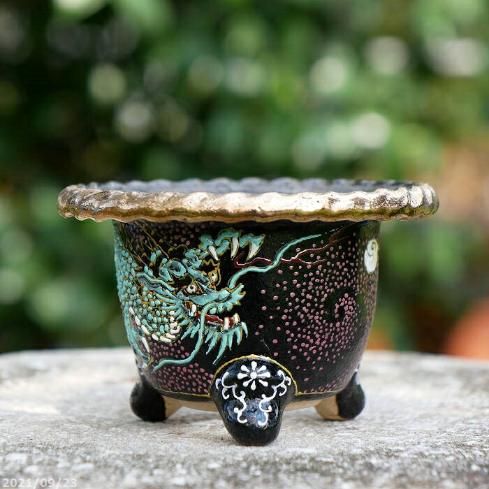 楽天市場】【現品 No.0354】 京楽焼 植木鉢 澤善作 万年青錦鉢 10号