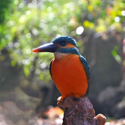 楽天市場】スワロフスキー カワセミ 鳥 5136835 Swarovski Kingfishers