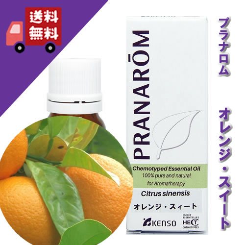 楽天市場】【ベチバー / ベチパー 5ml】→奥深く後を引くノートで