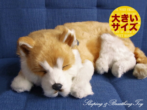 楽天市場】眠るように呼吸する パーフェクトペット (小サイズ) 柴犬