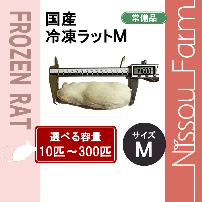 楽天市場】国産冷凍マウス ファジーL 即日発送 同梱可 選べる容量 10匹