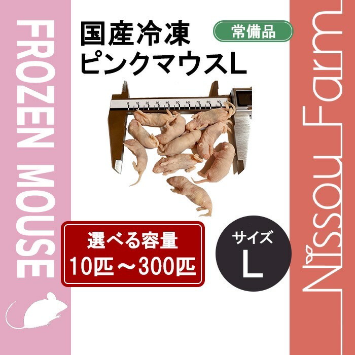 楽天市場】国産冷凍マウス ファジーL 即日発送 同梱可 選べる容量 10匹