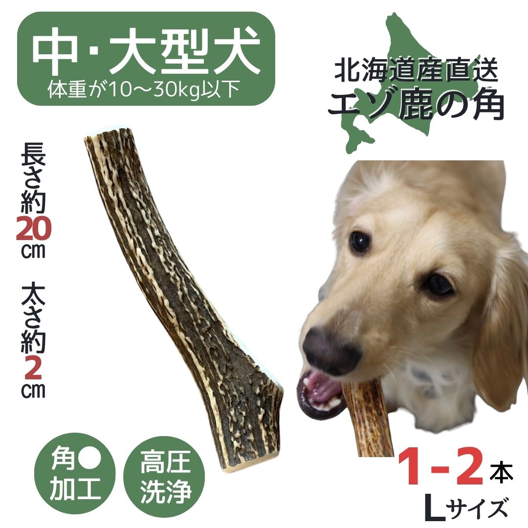 楽天市場】鹿の角 枝先10cm前後を200gセット アクセサリー用 パーツ